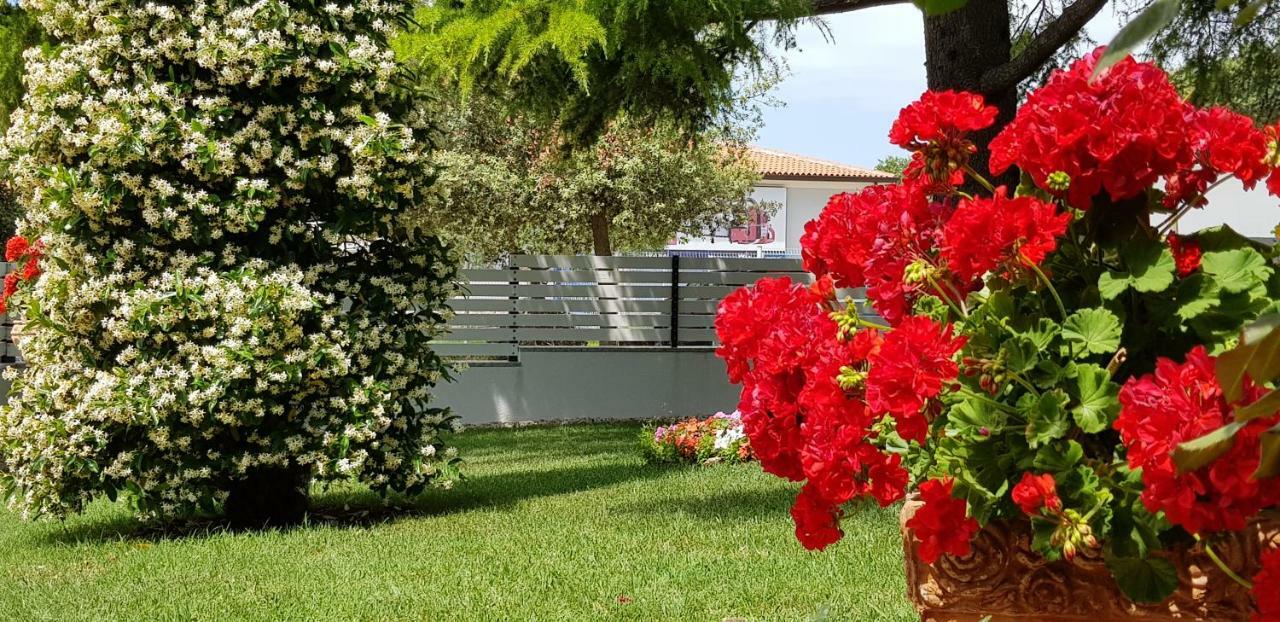 Fiori Apartment Umag Exterior foto